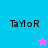 Four quadrant with cyan, light blue, pink, and light blue backgrounds displaying 'TaMoR' text and two star icons in different positions