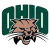 Green 'OHIO' text arches over a pixelated cat face with closed eyes and whiskers, rendered in low-resolution style.