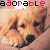 Pixelated dog face with 'adorable' text above, showing subtle animation changes in the dog's head position.