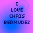 Pixelated text reads "I LOVE CHRIS BERMUDEZ" on a gradient background shifting between purple and blue hues.