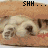 iconhell_babierykiel_Shh