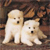 Two small light-colored dogs sit side-by-side on a brown textured background with pixelated edges and dithering effects.