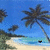 Animated tropical beach scene with palm trees, sand, and water featuring a small black heart icon that changes position across frames.