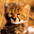 A 48x48 pixel animated buddy icon featuring a cheetah-like animal on the left and green text reading "Original Icons .com" on the right, displayed as a contact sheet with two frames.