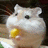 Pixelated hamster with yellow object in mouth against dark background, next to bright pink text asking 'do my cheeks look fat?'