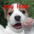 A dog's face with red text above it, showing two states: 'you look' on the left and 'funny' on the right.