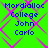 Green background with pink diamond lattice pattern and blue text reading "Mordialloc College John Carlo" in four identical quadrants.