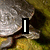 A pixelated image of a turtle with green text reading "TURTLES" and partial words "I" and "LIKE" in black boxes over its shell.