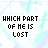 repeated pixelated text 'WHICH PART OF HE IS LOST' with subtle animation changes in heart symbols and partial lettering across frames