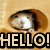 A pixelated image shows a brown mushroom with a white cap and black stem, positioned above bold text reading 'HELL@!' on a beige background.