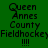 Green background with yellow horizontal bars and black text reading "Queen Annes County Fieldhockey" and "!!!!" in pixelated font.