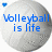 Four spherical objects with textured surfaces, each displaying blue text in a pixelated font, arranged in a with a small blue heart icon above the top-left sphere