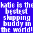 Blue background with white pixelated text repeating 'katie is the bestest shipping buddy in the world!' across multiple , some words highlighted by green rectangular overlays