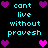 Pixelated text and heart symbols arranged in a on black background, with cyan text reading "cant live without provesh" and purple/pink hearts at corners and center