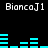 Pixelated text 'BiancaJ1' appears in white on black background with cyan bar graphs above and below, repeating in horizontal pairs.