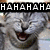 A four- shows a gray cat with closed eyes and open mouth in top , then a single with the cat's eyes open and mouth closed, all with text overlays