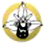 Animated icon shows a black electric guitar with silver strings inside a yellow circular frame, rotating through multiple angles against white background.