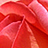 Flickr: The Help Forum: Can't see any images (China June 7th 12.30pm) 中国－看不见图片