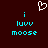 A dark red background features a white pixelated heart above two identical cyan text blocks reading 'i luvv moose' with matching spacing.