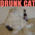 Animated icon shows a cat with closed eyes and tilted head holding a bottle, text above reads DRUNK CAT in alternating orange and pink letters.