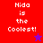 Pixelated text "Nida is the Coolest!" on red and purple backgrounds with a blue star in top-right and red star in bottom-left.