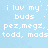 Light blue background with white pixelated text listing names and 'i luv my buds' phrase, partially obscured by gray rectangle.
