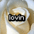 A four- shows a white rose with beige petals, each containing a black rectangular text box with white text: 'lovin', 'U', 'more', and empty