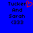Blue background with black pixelated text reading "Tucker And Sarah <333" and a red heart symbol replacing the 'o' in Tucker.