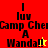 A four-quadrant displays text and symbols with color variations across two states. The top-left quadrant shows a yellow star, while the bottom-left shows a red star. The text reads "I luv Camp Che A Wanda!!" in black pixelated font. The background colors are red, orange, yellow, and orange. The animation changes the star color from yellow to red. The text and layout remain consistent across both states. The image has a retro digital aesthetic with blocky pixels and limited color palette. The overall mood is playful and nostalgic, referencing early internet culture. The animation is simple, with only the star color changing between states. The image is divided into four equal quadrants, each containing the same text but with different background colors and star colors. The top-left and