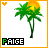 Pixelated palm tree with yellow-orange sun behind it, orange heart in top-left corner, and 'PAIGE' text in black-and-green block letters at bottom.