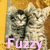 Two side-by-side pixelated images of a cat with light brown and white fur, each displaying the word 'Fuzzy' in pink text at the bottom.