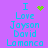 A purple background displays cyan text reading "I Love Jayson David Lamanco" with a green heart symbol above the word "Love" in one frame and a green pixelated starburst pattern in another.