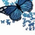 Blue butterfly with black wing outlines on white background, accompanied by text reading 'this is how you make me feel...' in blue rectangular blocks.