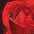 A static pixelated image of a red-toned figure with indistinct facial features and a rounded head shape against a dark background.