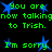 Green pixelated text on black background with blue star shapes, repeating 'You are now talking to Trish.' and 'I'm sorry.' in a