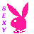 Pixelated bunny head silhouette in five colors with vertical purple text reading SEXY on left side, static image.
