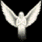 Four white angel icons with outstretched wings displayed in a on black background, each showing different wing positions and head angles