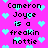Pixelated text on bright pink background with light blue hearts, stating 'Cameron Joyce is a freakin hottie' in black block letters.