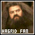 six identical pixelated images showing a bearded man with long hair, each labeled 'HAGRID FAN' in white text at the bottom