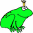 Green frog with crown holding sword, pink text "Where's My Prince??" and "<3 Frogs Marissa" on light background.