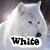 A four- shows a white wolf, a brown wolf, and a white wolf with text labels 'White', 'Wolf', and 'Ranch' over each respective