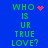 Blue background with green pixelated text 'WHO IS UR TRUE LOVE?' and red pixelated heart or starburst symbols in different positions.