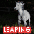 Four distinct horse-themed images arranged in a , each with overlaid text labels in red or blue boxes