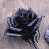 iconhell_gothicbrat_Jamie