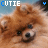 A small animated icon shows a brown dog with dark eyes and nose, its head turning left to right across frames while the text "CUTIE" appears in blue and white above.
