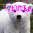 A polar bear with a black nose and eyes appears in four with changing pink text above its head