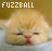 Animated sequence of a fluffy light brown kitten with closed eyes and red nose in a shallow bowl, showing subtle head movements against a muted yellow background.