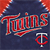 Pixelated graphic featuring large red 'Twins' text with blue outlines on dark blue background, accompanied by a smaller red 'T' logo with blue accents.