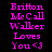 Pixelated text displays 'Britton McCall Walker Loves You <3' in bright pink on black background with white highlight changes across three