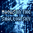 A pixelated blue and white pattern with repeated text "HOOS IN THE SHALLOW SKY" in light blue, featuring small white directional symbols scattered across the background.
